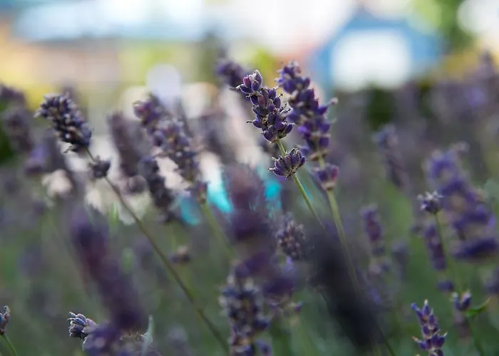 Romantik Zonnehuis 4*