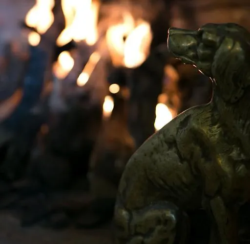 Frühstückspension Romantik Zonnehuis De Haan